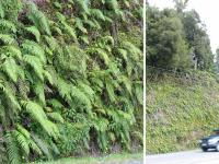 Albums/20060200-New Zealand 2006/20060207-South to Fox/7